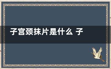 子宫颈抹片是什么 子宫颈抹片是什假连生部察感么